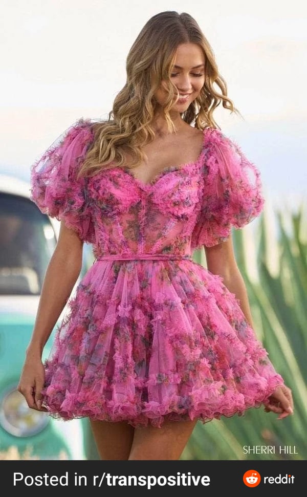 Picture by Agreeable_Menu6491 saying 'Pink Flowery Dress'