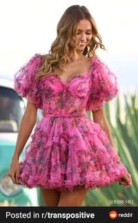 Picture of 'Pink Flowery Dress'